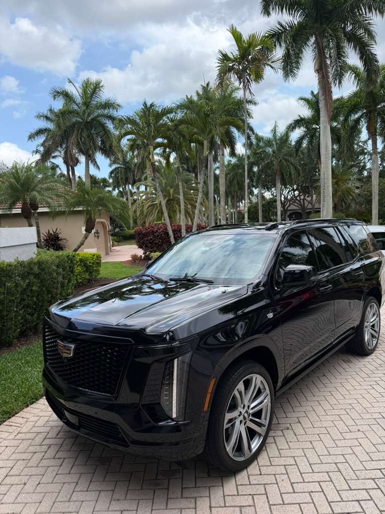 Paint Correction